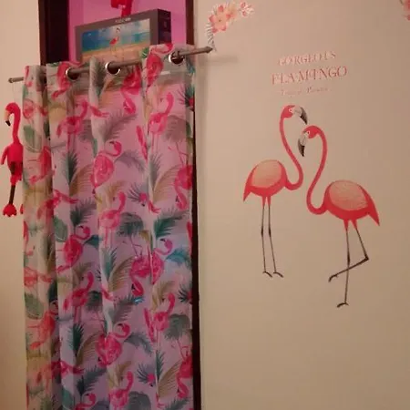 Apartment Pink Flamingo Nest - Unique Design