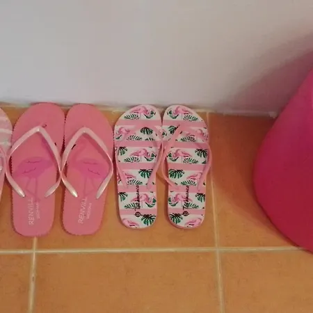 Pink Flamingo Nest - Unique Design