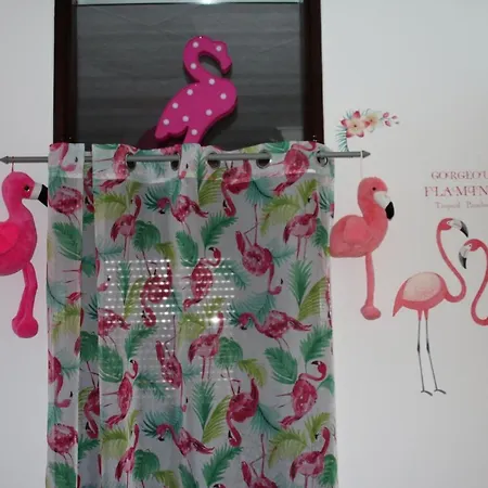 Apartment Pink Flamingo Nest - Unique Design Senta
