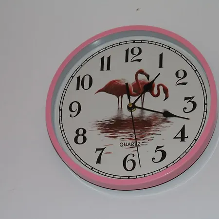 Pink Flamingo Nest - Unique Design