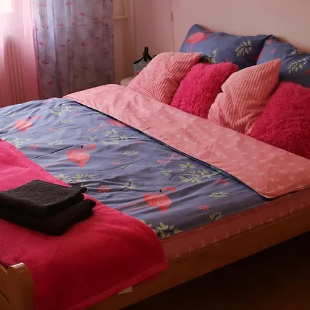 Pink Flamingo Nest - Unique Design * Senta