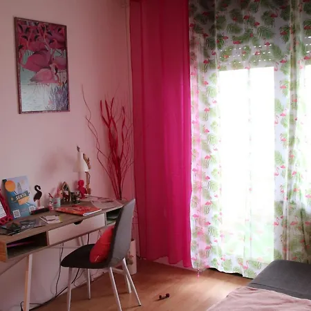 Apartment Pink Flamingo Nest - Unique Design *