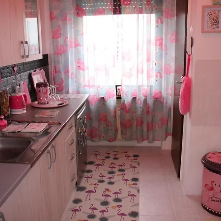 Apartment Pink Flamingo Nest - Unique Design *