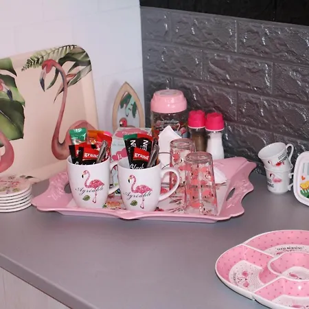 Pink Flamingo Nest - Unique Design Apartment Senta