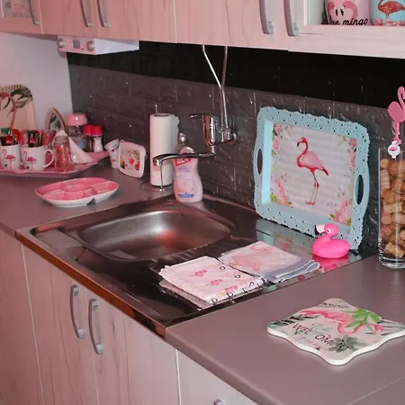 Apartment Pink Flamingo Nest - Unique Design *