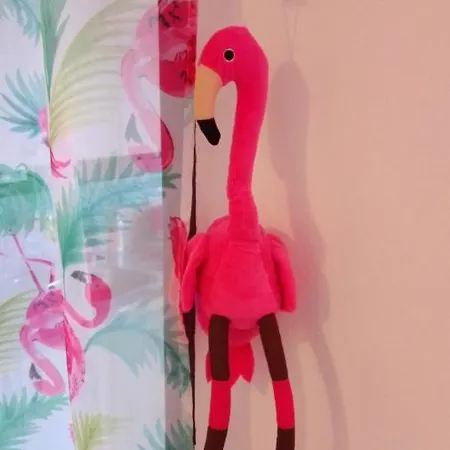 Apartment Pink Flamingo Nest - Unique Design