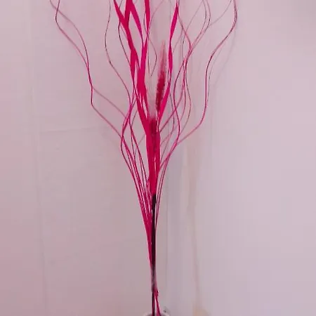 Apartment Pink Flamingo Nest - Unique Design *