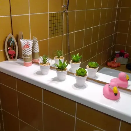 Apartment Pink Flamingo Nest - Unique Design