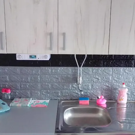 Apartment Pink Flamingo Nest - Unique Design *
